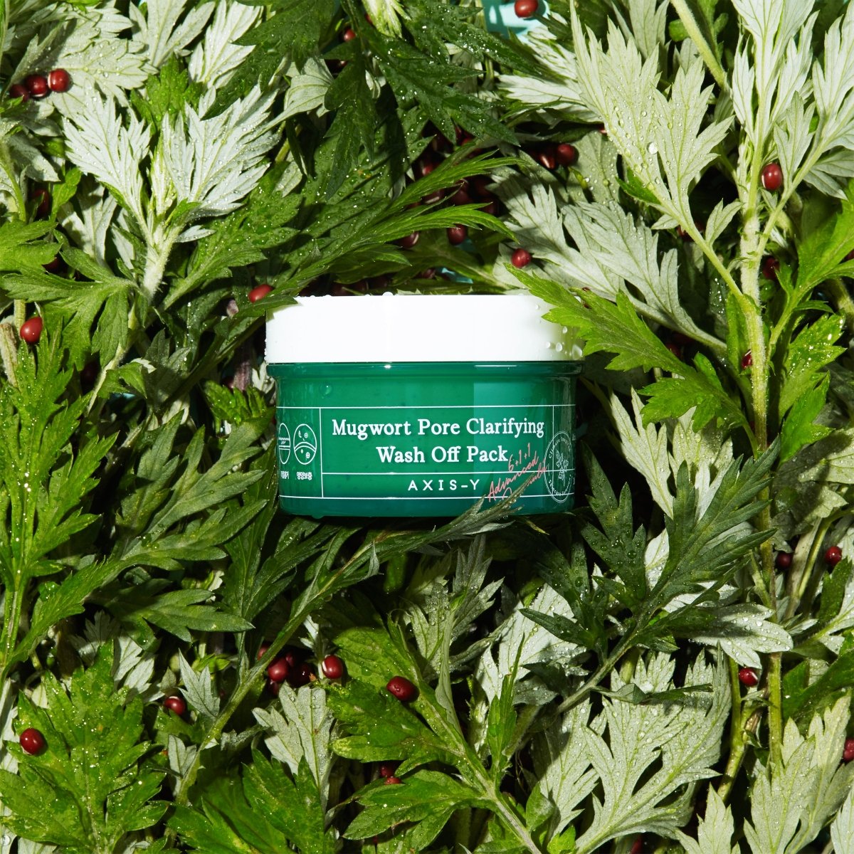 axis-y-clay-mask-default-title-axis-y-mugwort-pore-clarifying-wash-off-pack-100ml-40814642692335.jpg