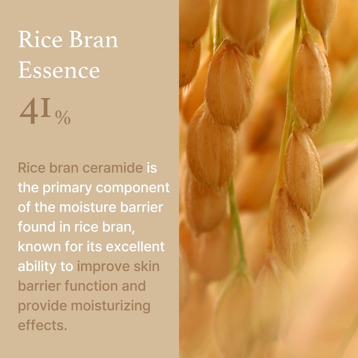 i-m-from-face-cream-default-title-i-m-from-rice-cream-50ml-buy2-get-1-free-40366332248303.jpg