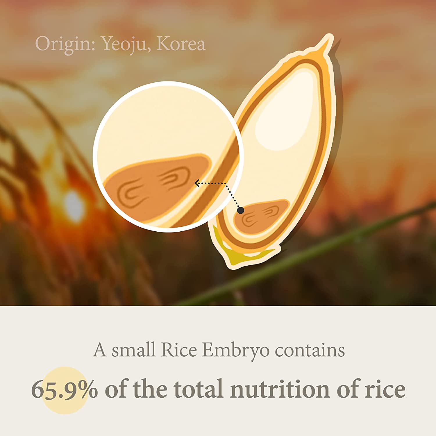 i-m-from-serum-default-title-i-m-from-rice-serum-30ml-39380349747439.jpg