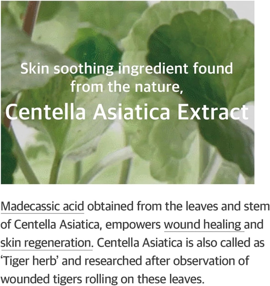 mixsoon-essence-default-title-mixsoon-soondy-centella-asiatica-essence-41672177975535.jpg