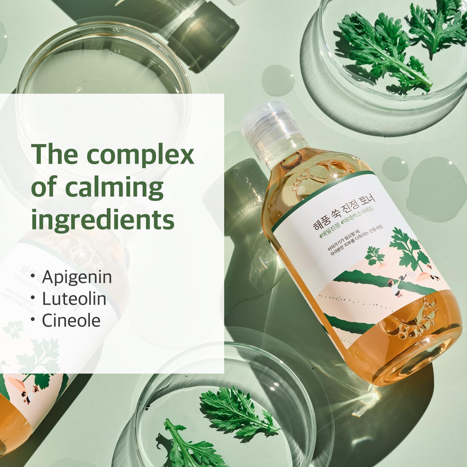 round-lab-toner-default-title-round-lab-mugwort-calming-toner-43248415867119.jpg