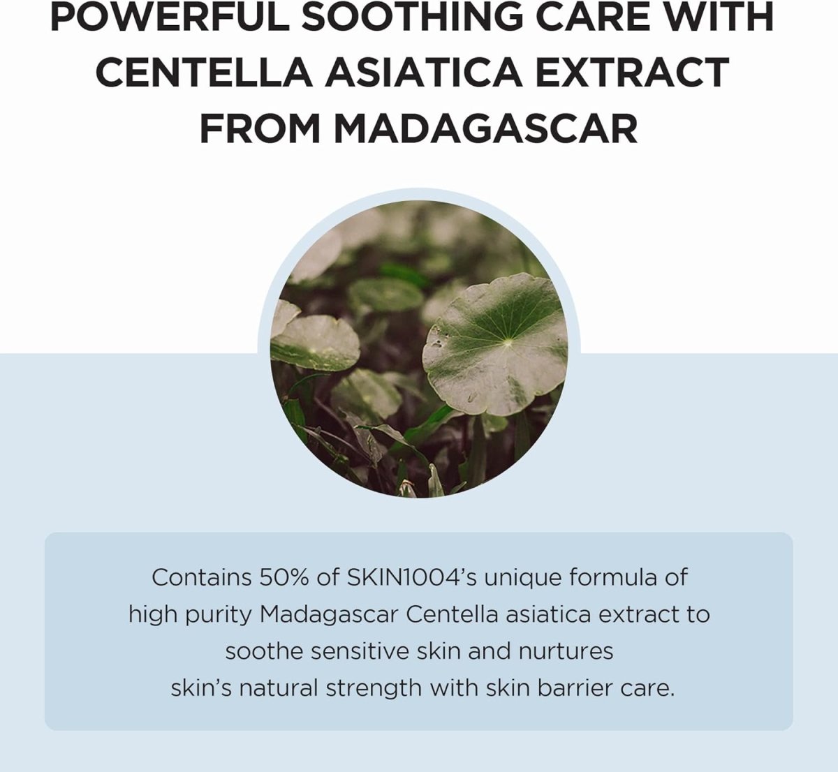 skin1004-cream-default-title-skin1004-madagascar-centella-hyalu-cica-moisture-cream-41614948466927.jpg